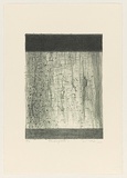 Title: Mangrove 1 | Date: 2004 | Technique: lithograph, printed in black ink, from one stone