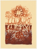 Artist: RADO, Ann | Title: Evening I | Date: 1992 | Technique: lithograph, printed in blue and red oxide ink, from two stones