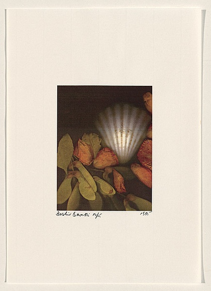 Title: b'Rococo Recollections [11]' | Date: 1995 | Technique: b'electrostatic print, printed from a Canon colour laser copier, from collaged elements'