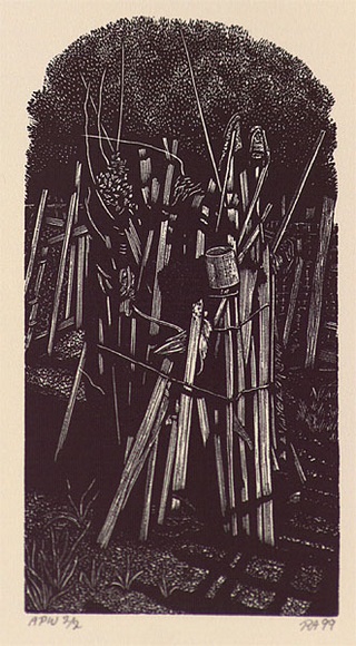 Artist: b'Atkins, Ros.' | Title: b'Fitzroy Community Garden' | Date: 1999, January | Technique: b'wood engraving, printed in black ink, from one block'