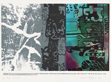 Artist: b'MEYER, Bill' | Title: b'Vamm, the son of pot' | Date: 1974 | Technique: b'screenprint, printed in colour, from multiple screens (photo indirect and hand-cut stencils)' | Copyright: b'\xc2\xa9 Bill Meyer'