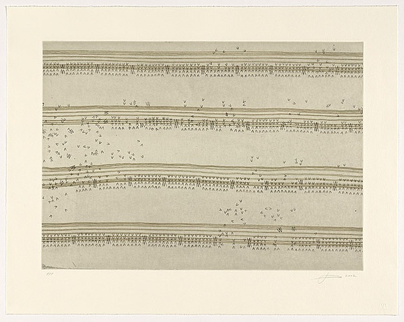 Artist: ROSE, Jacqueline | Title: Josephine's score | Date: 2002 | Technique: etching, printed in black and green ink, from two copper plates