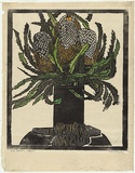 Artist: b'PRESTON, Margaret' | Title: b'West Australian banksia.' | Date: 1929 | Technique: b'woodcut, printed in black ink, from one block; hand-coloured' | Copyright: b'\xc2\xa9 Margaret Preston. Licensed by VISCOPY, Australia'