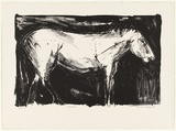 Artist: b'Balsaitis, Jonas.' | Title: b'Horse' | Date: 1982 | Technique: b'lithograph, printed in black ink, from one stone' | Copyright: b'\xc2\xa9 Yvonne Boag'