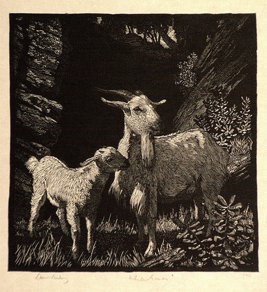 Artist: b'LINDSAY, Lionel' | Title: b'White goats' | Date: 1925 | Technique: b'wood-engraving, printed in black ink, from one block' | Copyright: b'Courtesy of the National Library of Australia'