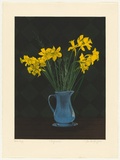 Artist: b'GRIFFITH, Pamela' | Title: b'Daffodils.' | Date: 1986 | Technique: b'hardground-etching and aquatint, printed in colour, from three zinc plates' | Copyright: b'\xc2\xa9 Pamela Griffith'