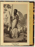 Artist: b'UNKNOWN' | Title: b'Tom William; Echuca tribe.' | Date: c.1890 | Technique: b'lithograph, printed in brown ink, from one plate; varnished'