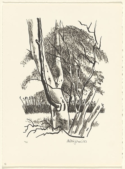 Title: b'Fortescue River' | Date: 1982 | Technique: b'lithograph, printed in black ink, from one stone'