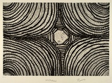Artist: b'NGARRAIJA, Tommy May' | Title: b'Walpapakal' | Date: 1995, November | Technique: b'etching and sugar-lift aquatint, printed in black ink, from one copper plate'