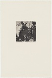 Artist: b'MADDOCK, Bea' | Title: b'Return of the prodigal' | Date: June 1961 | Technique: b'etching, printed in black ink, from one copper plate'