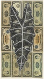 Artist: HALL, Fiona | Title: Alocasia sanderana - Kris plant (The Philippines currency) | Date: 2000 - 2002 | Technique: gouache | Copyright: © Fiona Hall