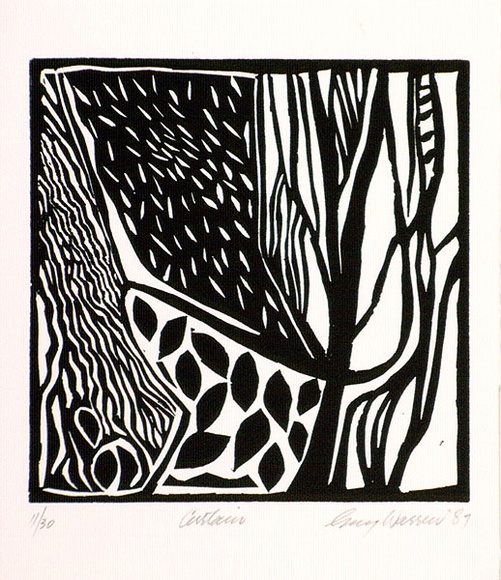 Artist: b'Warren, Guy.' | Title: b'Curtain.' | Date: 1987 | Technique: b'linocut, printed in black ink, from one block'