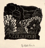 Artist: OGILVIE, Helen | Title: not titled [Flowering shrubs alongside garden path]. | Date: c.1944 | Technique: wood-engraving, printed in black ink, from one block