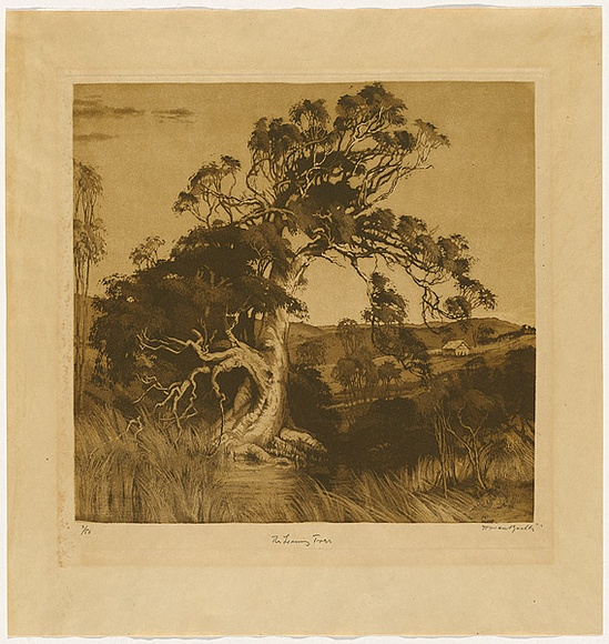 Artist: van RAALTE, Henri | Title: The leaning tree | Date: c.1927 | Technique: aquatint, printed in brown ink, from one plate
