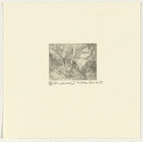 Artist: Robinson, William. | Title: Springbrook 1 | Date: 1999 | Technique: etching, printed in brown ink, from one plate