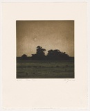 Artist: b'Grant, Ian.' | Title: b'Three trees' | Date: 2007 | Technique: b'etching and aquatint, printed in colour, from three plates'