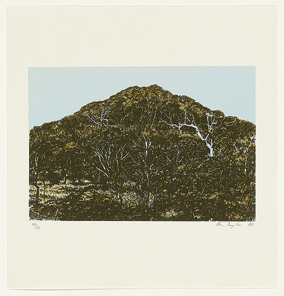 Artist: b'Taylor, Ben.' | Title: b'not titled [Mount Ainslie]' | Date: 1980 | Technique: b'screenprint, printed in colour, from three stencils'