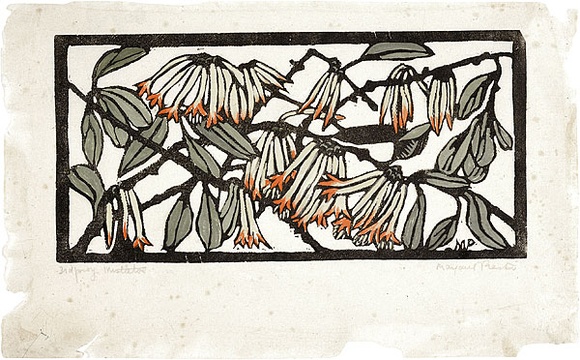 Artist: b'PRESTON, Margaret' | Title: b'Mistletoe' | Date: 1930 | Technique: b'woodcut, printed in black ink, from one block; hand-coloured' | Copyright: b'\xc2\xa9 Margaret Preston. Licensed by VISCOPY, Australia'