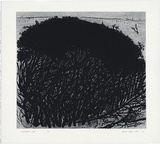 Artist: b'Kluge-Pott, Hertha.' | Title: b'Melaleuka page 1.' | Date: 2005 | Technique: b'etching and drypoint, printed in black ink with plate-tone, from one plate'