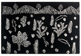 Artist: b'Petyarre, Rosemary.' | Title: b'not titled [No.72]' | Date: 1990 | Technique: b'woodcut, printed in black ink, from one block'