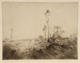 Artist: b'Boyd, Penleigh.' | Title: b'Evening.' | Date: c.1921 | Technique: b'drypoint, printed in brown ink with plate-tone, from one plate'