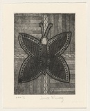 Artist: b'Murray, Janice.' | Title: b'not titled [butterfly rendered in geometric patterns and cross-hatching]' | Date: 1999, November | Technique: b'etching, printed in black ink, from one plate' | Copyright: b'\xc2\xa9 Janice Murray and Jilamara Arts + Craft'