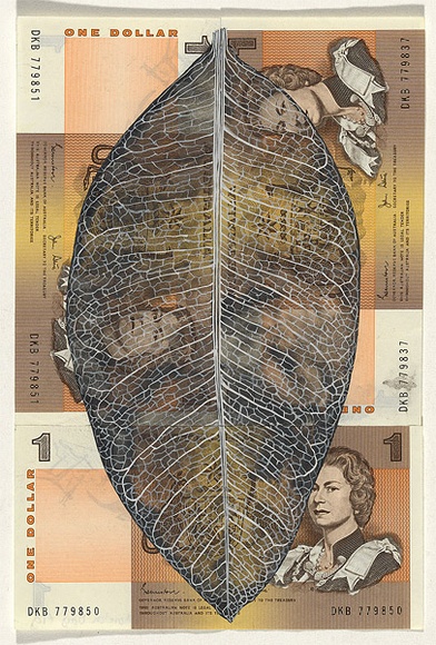 Artist: b'HALL, Fiona' | Title: b'Ficus macrophylla - Moreton Bay fig (Australian currency)' | Date: 2000 - 2002 | Technique: b'gouache' | Copyright: b'\xc2\xa9 Fiona Hall'