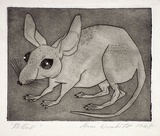 Artist: b'Wienholt, Anne.' | Title: b'Rodent' | Date: (1948) | Technique: b'line-engraving and aquatint, printed in black ink, from one copper plate'