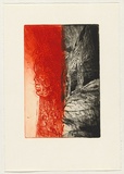 Artist: b'ARNOLD, Raymond' | Title: b'Artificial nature III.' | Date: c.1993 | Technique: b'etching, printed in red and black ink, from two plates'