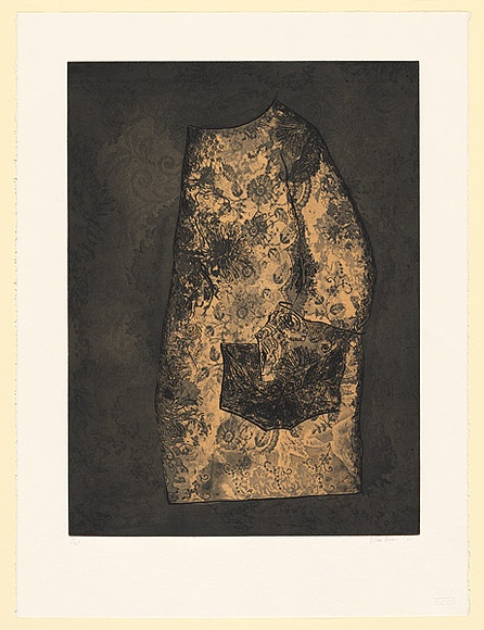 Artist: b'Norrie, Susan.' | Title: b'not titled' | Date: 1988 | Technique: b'etching, printed in colour, from multiple plates'