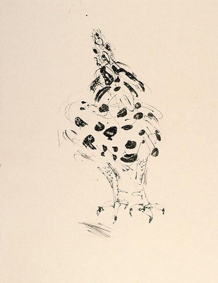 Artist: b'MACQUEEN, Mary' | Title: b'Small rooster' | Date: 1982 | Technique: b'lithograph, printed in black ink, from one plate' | Copyright: b'Courtesy Paulette Calhoun, for the estate of Mary Macqueen'