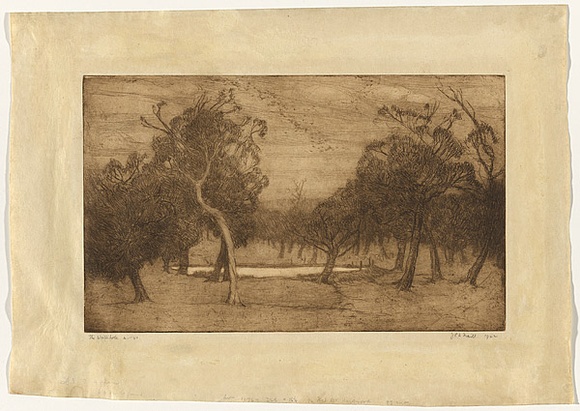 Artist: b'TRAILL, Jessie' | Title: b'The waterhole' | Date: 1922 | Technique: b'etching, printed in brown ink with plate-tone and wiped highlights, from one plate'