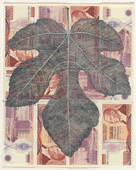 Artist: b'HALL, Fiona' | Title: b'Ficus carica - Fig (Turkish currency)' | Date: 2000 - 2002 | Technique: b'gouache' | Copyright: b'\xc2\xa9 Fiona Hall'