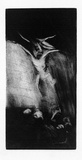 Artist: Lohse, Kate. | Title: Integrity and the pits 7 | Date: 1984 | Technique: etching
