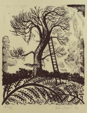 Artist: Jones, Tim. | Title: Sam's tree (Saul's tree?) | Date: 1994, May | Technique: lithograph, printed in black ink, from one stone