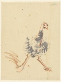 Artist: MACQUEEN, Mary | Title: Running emu | Date: 1967 | Technique: lithograph, printed in colour, from multiple plates | Copyright: Courtesy Paulette Calhoun, for the estate of Mary Macqueen
