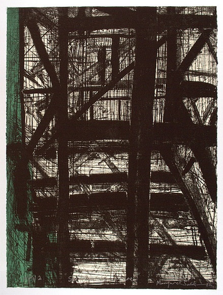 Artist: b'Sulikowski, Margaret.' | Title: b'Skeleton structure' | Date: 1992, June | Technique: b'etching, printed in black ink, from one plate; hand-coloured'