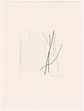 Artist: b'MOSS, Damian' | Title: b'Trees 2' | Date: 2004 | Technique: b'etching, printed in black ink, from one plate'