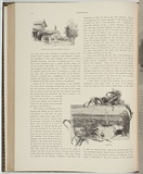 Artist: ASHTON, Julian | Title: Kempsey | Date: 1886 | Technique: woodengraving, printed in black ink, from one block