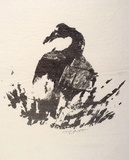 Artist: b'Cant, James.' | Title: b'Grey goose.' | Date: 1973 | Technique: b'screenprint, printed in grey ink, from one stencil'