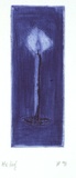 Artist: Palethorpe, Jan | Title: Candle | Date: 1993 | Technique: etching, roulette and aquatint, printed in colour, from two plates