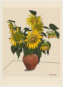 Artist: b'Rose, David.' | Title: b'Sunflower study for Vincent' | Date: 1991 | Technique: b'screenprint, printed in colour, from multiple stencils'