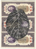 Artist: b'HALL, Fiona' | Title: b'Corylus chinensis - Chinese hazel (Chinese currency)' | Date: 2000 - 2002 | Technique: b'gouache' | Copyright: b'\xc2\xa9 Fiona Hall'