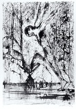 Artist: b'BOYD, Arthur' | Title: b'(Jumping figure).' | Date: (1978) | Technique: b'lithograph, printed in black ink, from one stone [or plate]'