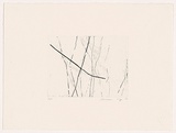 Artist: MOSS, Damian | Title: Trees 5 | Date: 2004 | Technique: etching, printed in black ink, from one plate