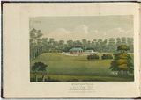Artist: b'LYCETT, Joseph' | Title: b'Burwood Villa, New South Wales.' | Date: 1825 | Technique: b'etching and aquatint, printed in black ink, from one copper plate; hand-coloured'