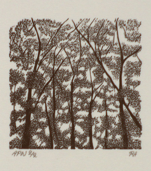 Artist: b'Atkins, Ros.' | Title: b'(IB)' | Date: 1996, July | Technique: b'wood engraving, printed in black ink, from one block'