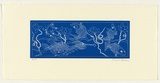 Artist: b'Law, Roger.' | Title: b'Not titled [one seahorse, three fish and one butterfly in blue].' | Date: 2005 | Technique: b'etching, printed in blue ink, from one plate'