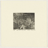 Artist: b'Robinson, William.' | Title: b'Sunlight and rain' | Date: 1999 | Technique: b'etching, printed in black ink, from one plate'