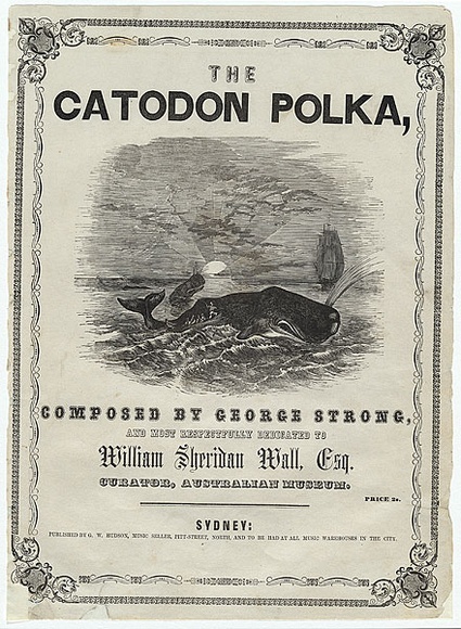 Artist: b'Mason, Walter George.' | Title: b'Sheet music cover: The Catodon polka.' | Date: c.1843 | Technique: b'wood-engraving, printed in black ink, from one block'